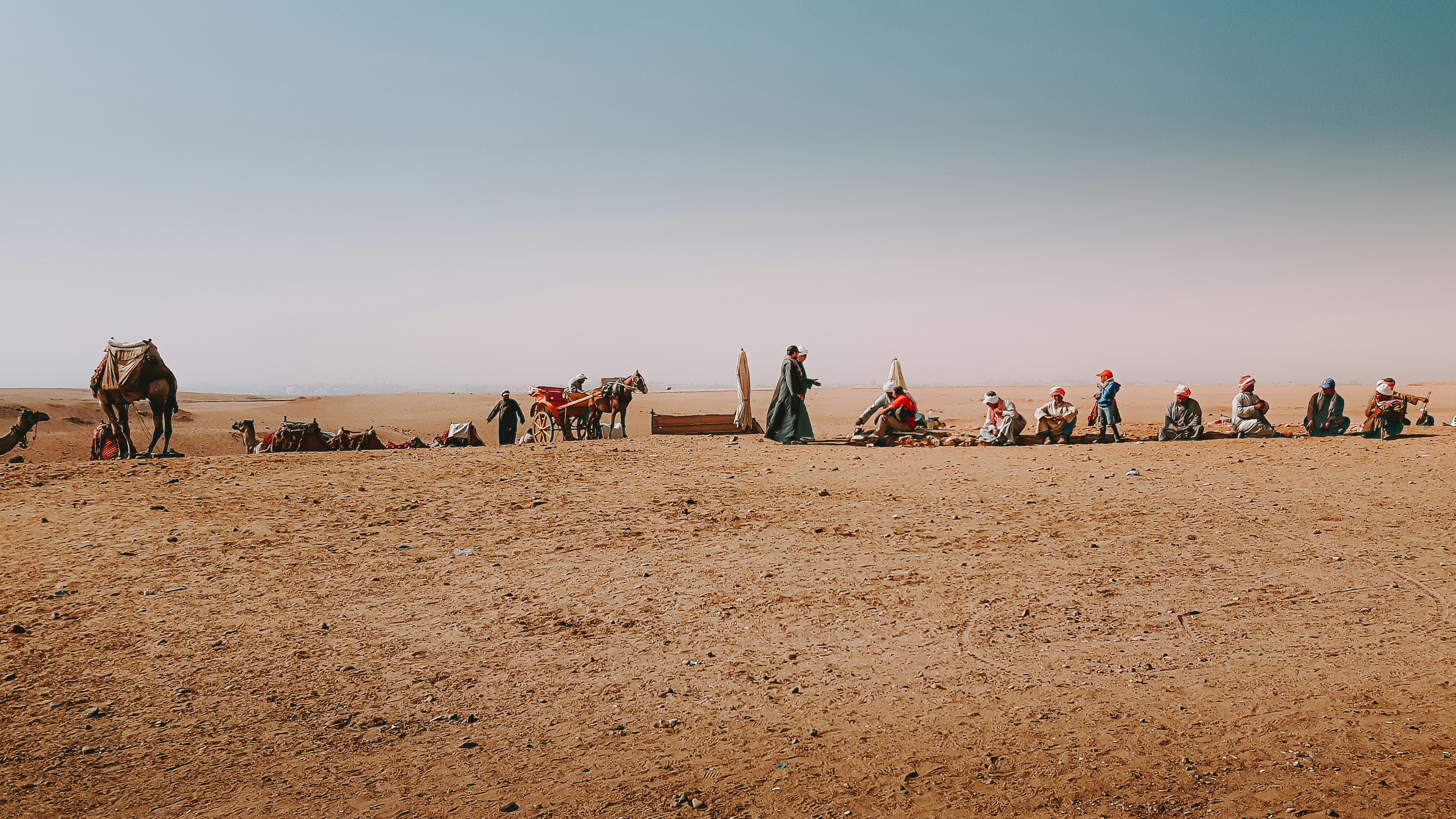 people riding camel on brown sand during daytime